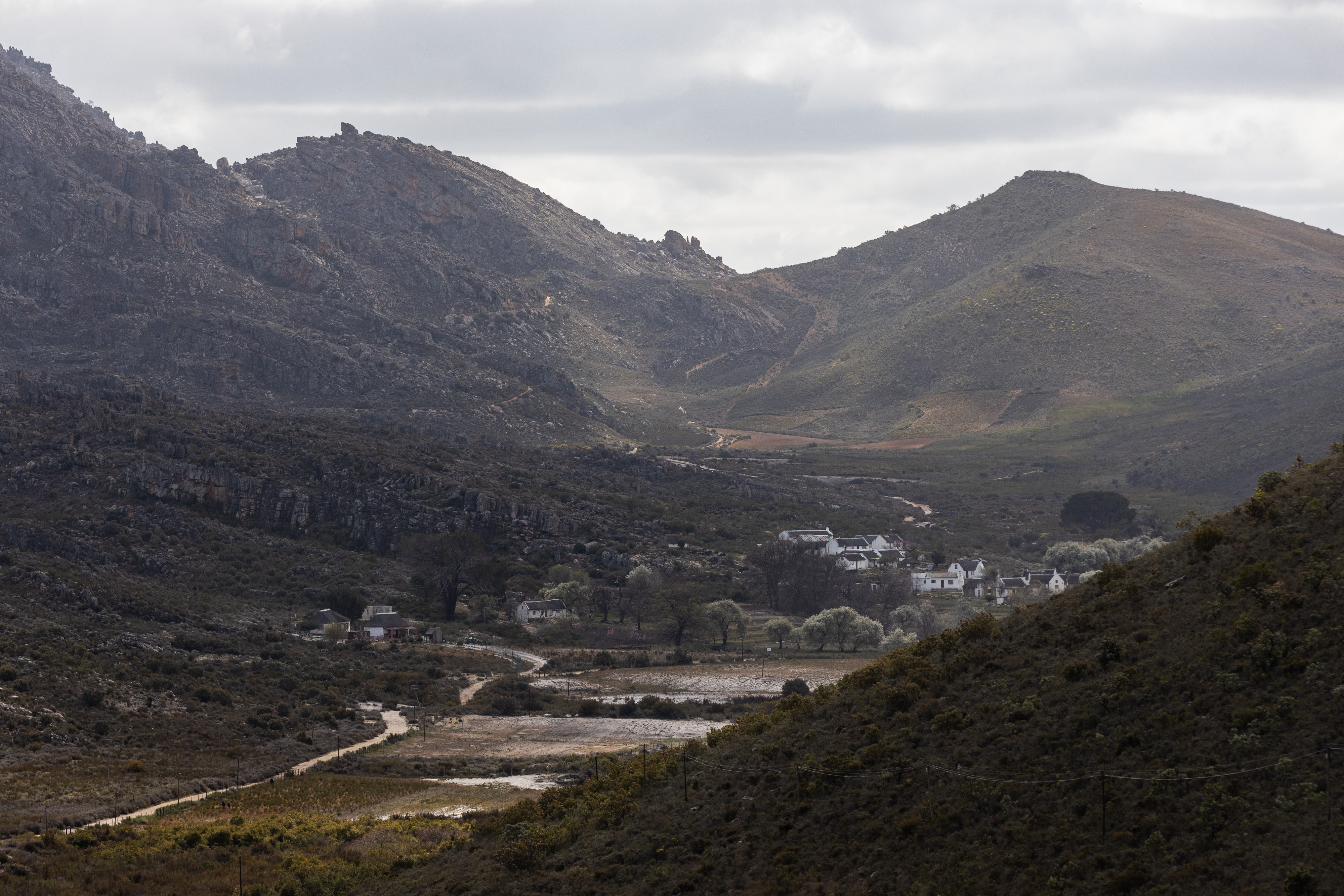 Donkey carts stand idle as tourism dies in Cederberg village